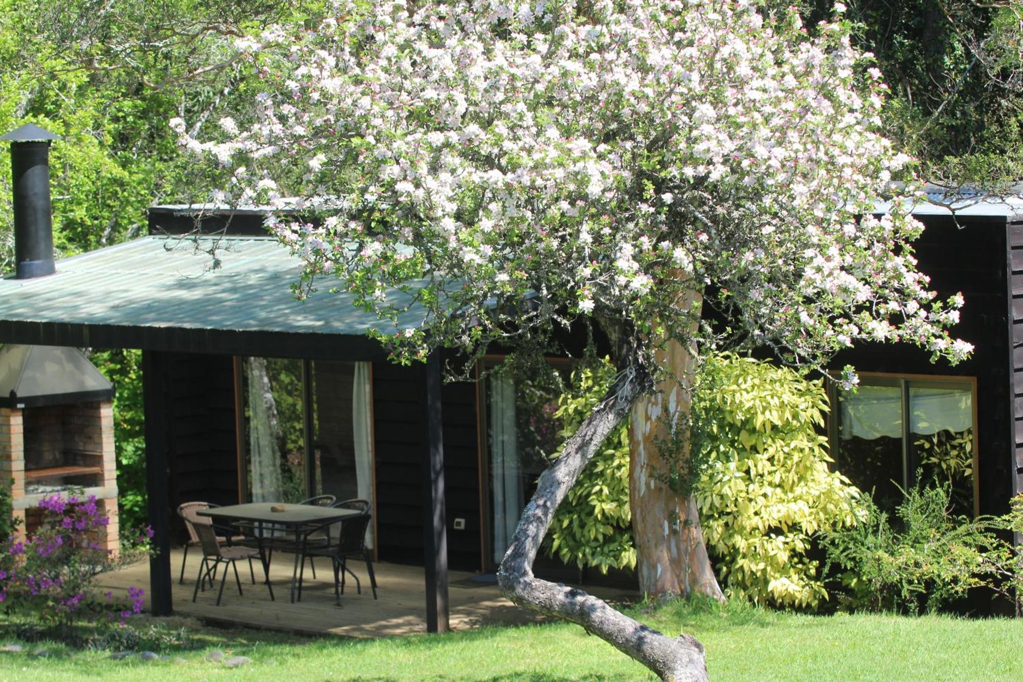 Cabanas Am Berg Pucon Exterior photo