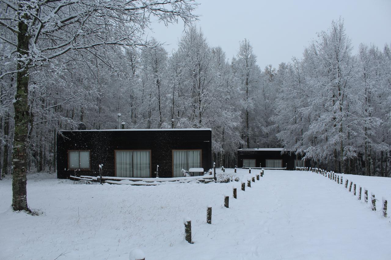 Cabanas Am Berg Pucon Exterior photo